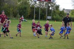 Minis Album 2015